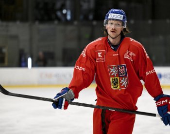 Hokejisty Pardubic posílí zkušený obránce Šustr
