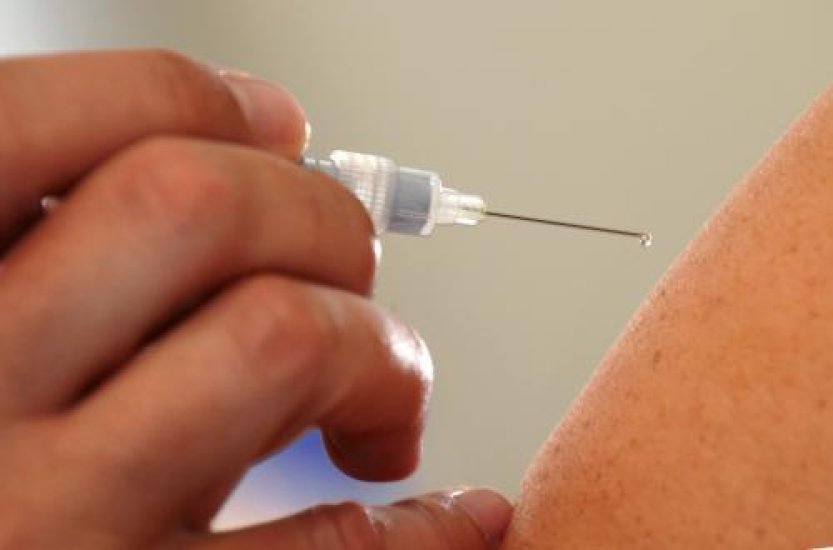 Češi se podílejí na vývoji vakcín proti parazitárnímu onemocnění leishmanióze