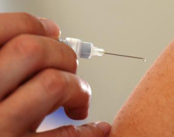Češi se podílejí na vývoji vakcín proti parazitárnímu onemocnění leishmanióze