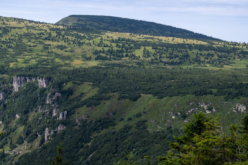 V krkonošské přírodě se objevují jevy a druhy, jež dosud nikdo nezaznamenal