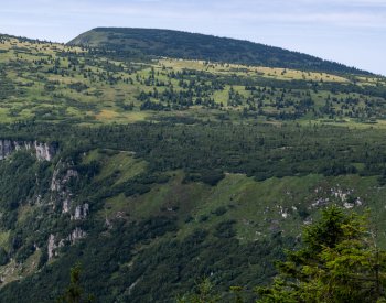 V krkonošské přírodě se objevují jevy a druhy, jež dosud nikdo nezaznamenal