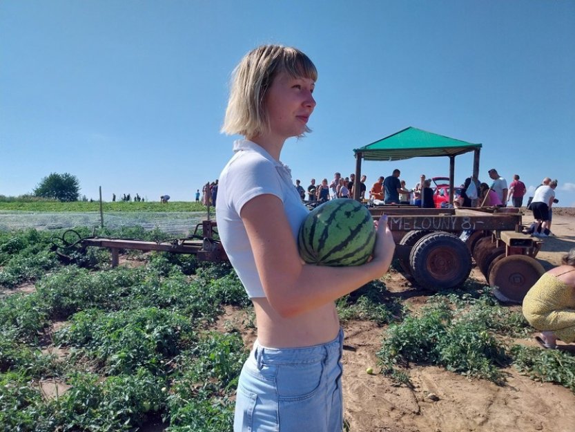 Milovníci melounů zaplnili pole ve Vojnicích na Olomoucku, začal samosběr