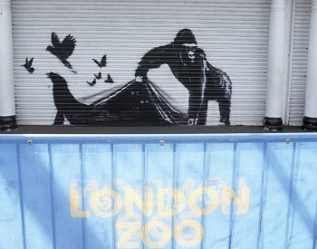 Banksy vytvořil deváté dílo s motivem zvířat, je u vchodu do londýnské zoo