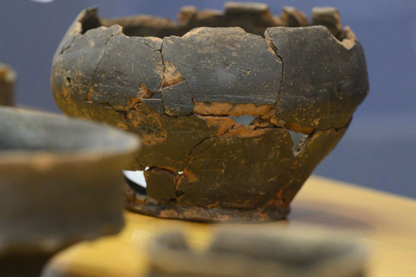 Berounské muzeum příští rok vystaví poklad nalezený u Hostimi