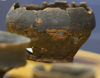 Berounské muzeum příští rok vystaví poklad nalezený u Hostimi