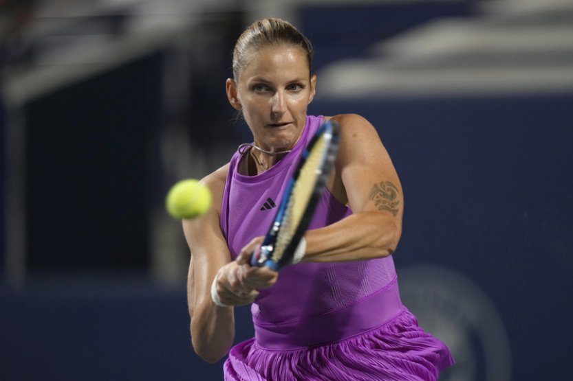 Lehečka v Cincinnati první zápas od května zvládl, postoupila i Plíšková