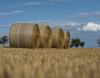 Zemědělský svaz: V Česku je kvůli suchu nedostatek sena, stojí více než loni