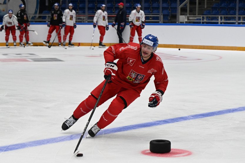 Hokejista Vrána se pokusí oživit kariéru v NHL ve Washingtonu