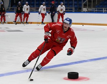 Hokejista Vrána se pokusí oživit kariéru v NHL ve Washingtonu