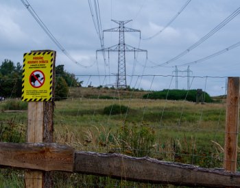 ČEPS na Písecku poprvé v Česku nasadil ovce při udržování ploch pod dráty