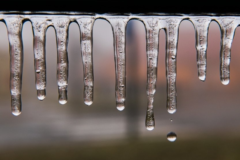 Pojišťovna: Škody na zemědělské půdě kvůli mrazu a krupobití dosáhnou dvě mld Kč