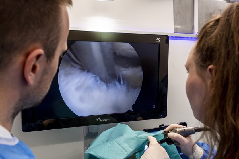 Lékař: Artroskopie se používá pro více než polovinu ortopedických operací