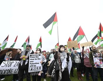 NSS: U hesla na podporu Palestiny musí úřady zvažovat kontext a význam