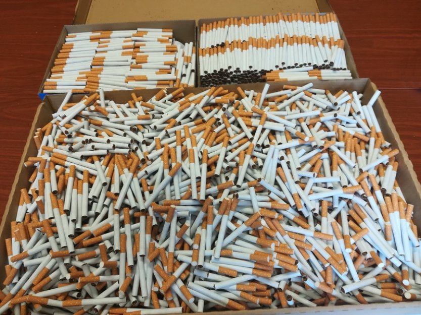 Celníci ve Středočeském a Karlovarském kraji odhalili gang výrobců cigaret