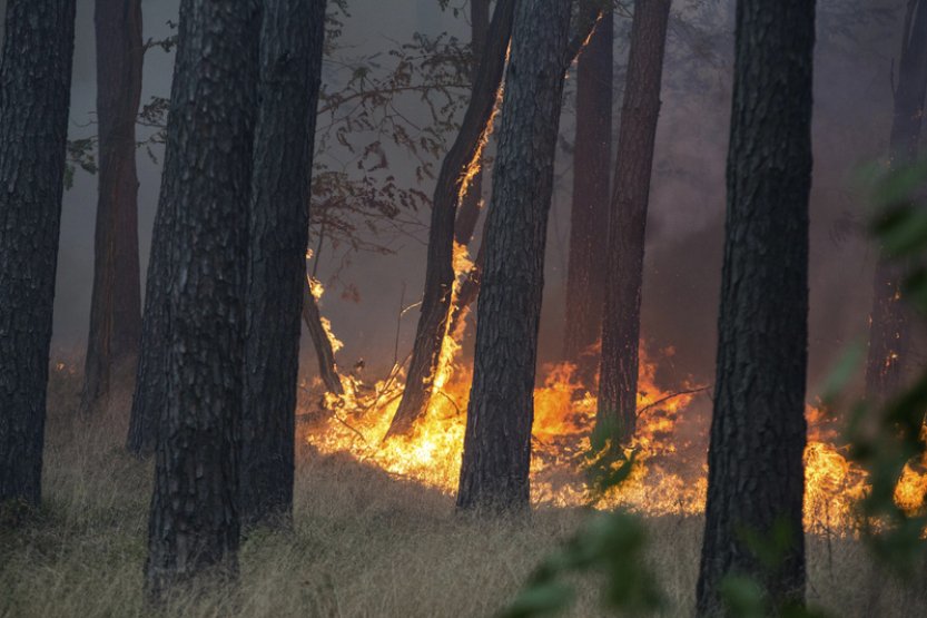 Meteorologové vydali výstrahu před požáry, platí pro celou zemi