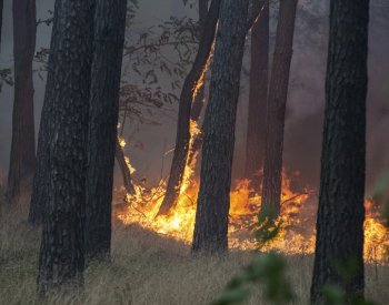 Meteorologové vydali výstrahu před požáry, platí pro celou zemi