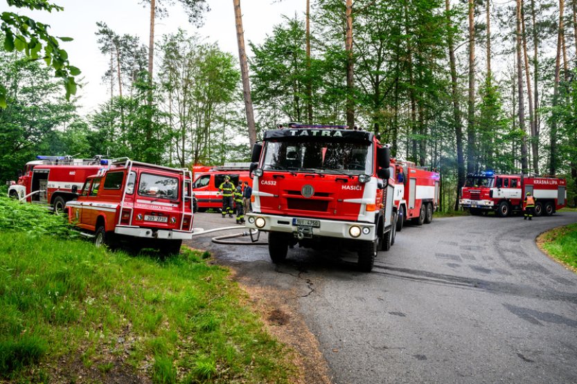 Požár lesa v Městečku Trnávka na Svitavsku se podařilo dostat pod kontrolu