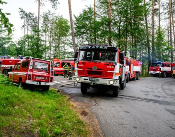 Požár lesa v Městečku Trnávka na Svitavsku se podařilo dostat pod kontrolu