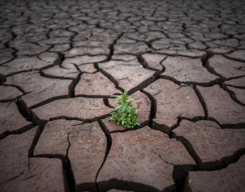 Meteorologové rozšířili výstrahu před vedry na další část jižní a střední Moravy