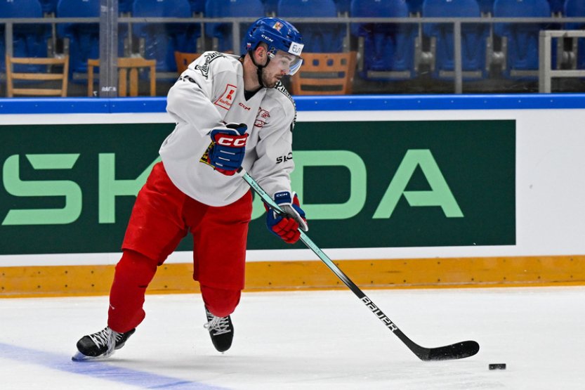 Útočník Zadina se vrací z NHL do Evropy, po San Jose se upsal Davosu