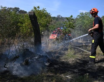 U Hustopečí na Břeclavsku hoří porost, v nemocnici skončil popálený senior