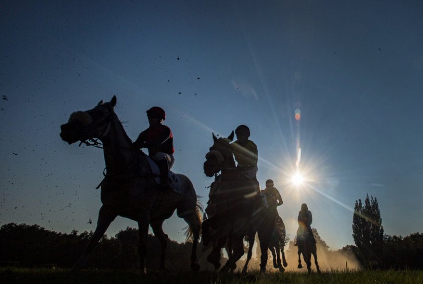 Víkendové dostihy v Pardubicích včetně poslední kvalifikace byly přeloženy