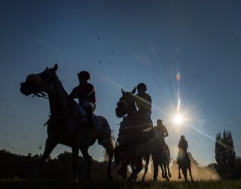 Víkendové dostihy v Pardubicích včetně poslední kvalifikace byly přeloženy