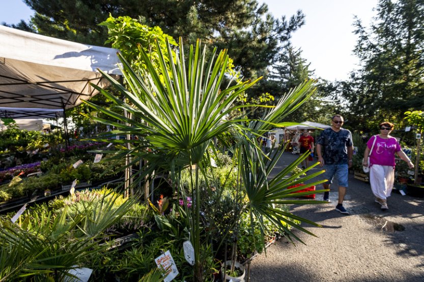 V Litoměřicích začíná Zahrada Čech, počasí by akci nemělo ohrozit