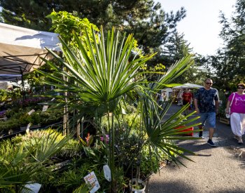 V Litoměřicích začíná Zahrada Čech, počasí by akci nemělo ohrozit