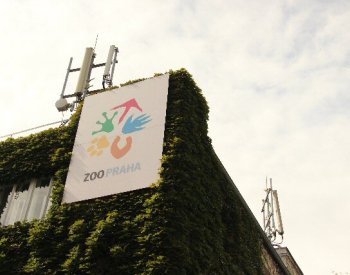 Pražská zoologická zahrada bude dnes a v neděli kvůli počasí zavřená