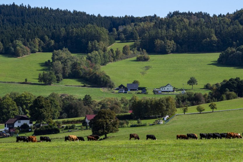 Víkend bude slunečný s denními teplotami kolem 20 stupňů