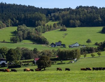 Víkend bude slunečný s denními teplotami kolem 20 stupňů