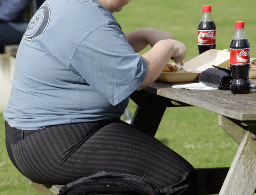 Modely Česko varují, že za 10 let může kvůli obezitě platit přes 300 mld. ročně