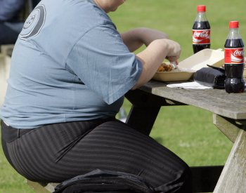 Modely Česko varují, že za 10 let může kvůli obezitě platit přes 300 mld. ročně