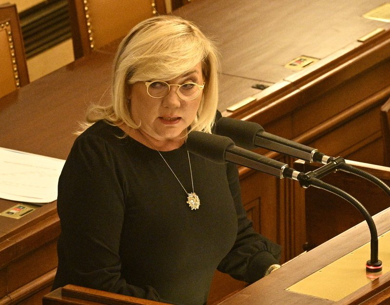 Schillerová bude chtít vrátit rozpočet vládě k přepracování