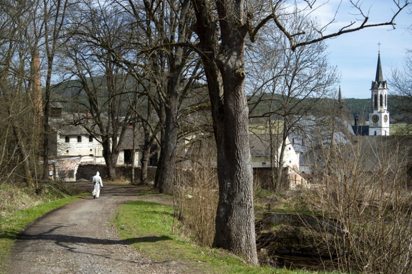 ÚS vyhlásí, jak rozhodl o stížnosti cisterciáků, jde o pozemky na jihu Čech