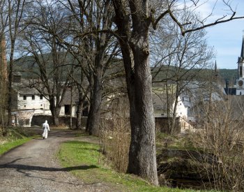 ÚS vyhlásí, jak rozhodl o stížnosti cisterciáků, jde o pozemky na jihu Čech