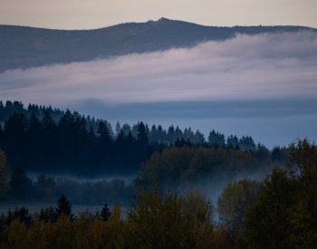 Týden bude chladný, v mlhách a nízké oblačnosti bude do pěti stupňů