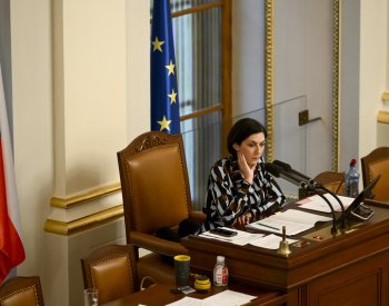 ANO chce svolat schůzi k odvolání šéfky Sněmovny Pekarové Adamové