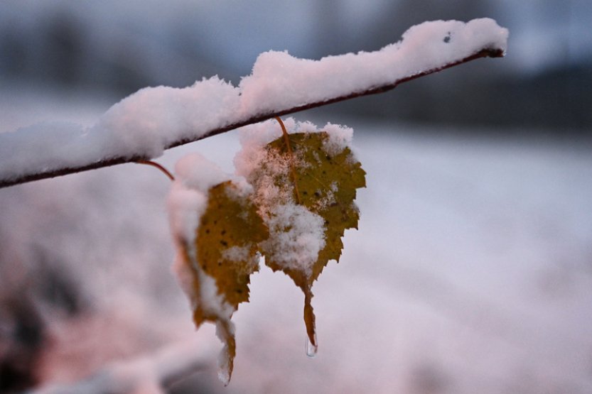 Do Česka přichází zimní počasí, od neděle se ale oteplí