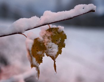 Do Česka přichází zimní počasí, od neděle se ale oteplí
