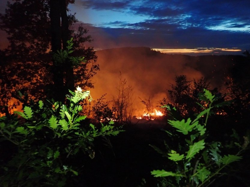 Klimatická změna má negativní vliv na šíření a rozsah požárů, zjistili vědci