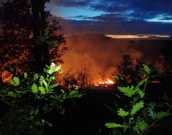 Klimatická změna má negativní vliv na šíření a rozsah požárů, zjistili vědci