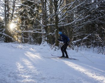 Na horách v ČR bylo dnes až 13,4 stupně, někde padly rekordy
