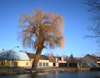 Víkend bude zatažený a zpočátku chladný, od neděle se v Česku oteplí