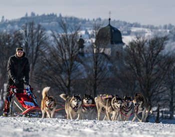 Závod psích spřežení v Orlických horách na 242 km vítěz zvládl za 17 hodin