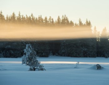 Na Šumavě ráno klesla teplota na minus 20 stupňů Celsia