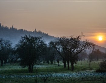 Zima v Klementinu se s průměrem 2,8 stupně zařadila k těm teplejším