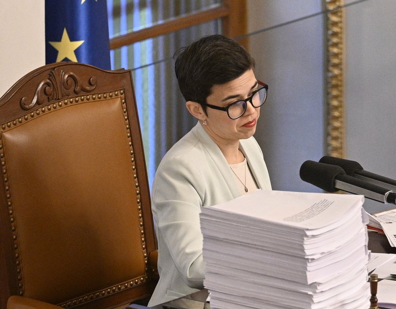 Pražské Piráty povedou do sněmovních voleb Richterová a Hřib