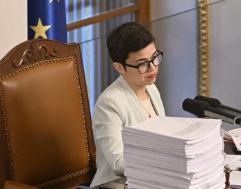 Pražské Piráty povedou do sněmovních voleb Richterová a Hřib